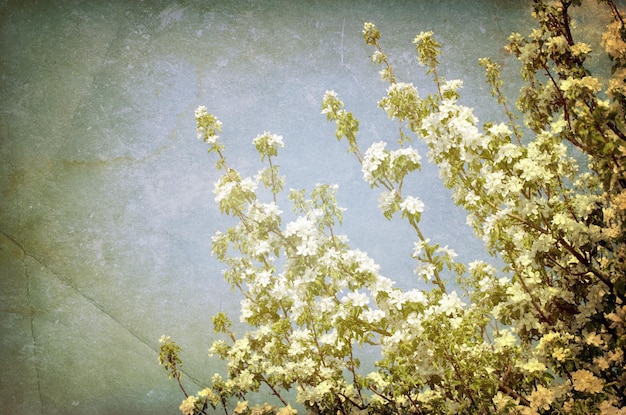 flores blancas