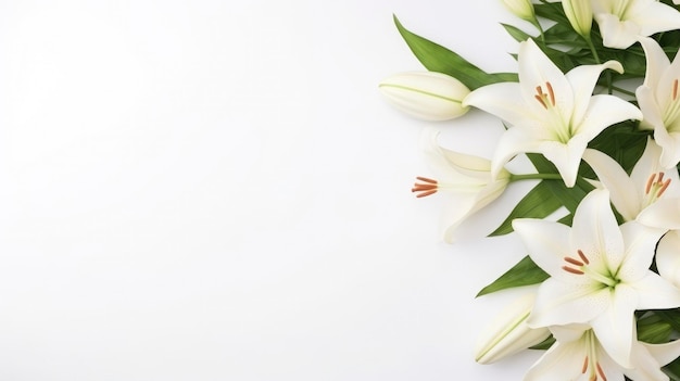 Foto flores blancos pastel lirios composición en un fondo blanco copia plantilla de espacio