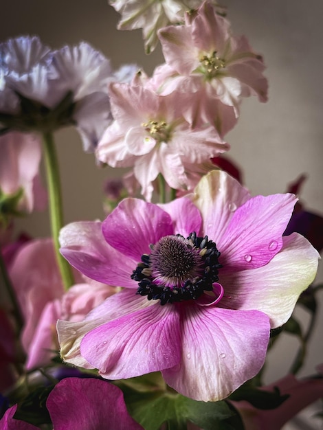 Flores Bodegón Hermosas flores de colores de cerca sobre fondo de mal humor Elegante composición artística de lathyrus anemone ranunculus delphinium Fondo de pantalla floral vertical