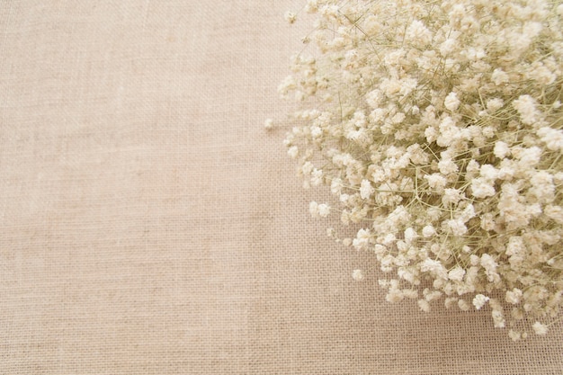 Flores brancas com espaço de cópia no fundo de textura de saco