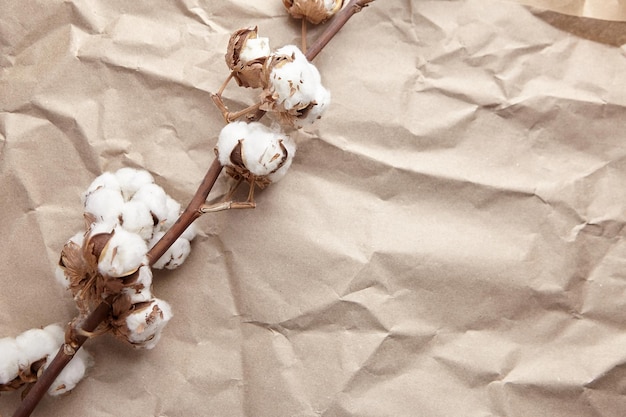 Flores brancas de algodão em fundo de textura de papel artesanal amassado vista superior