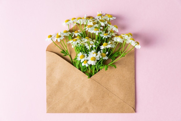 Flores brancas de camomila em envelope em fundo rosa pastel Convite festivo ou de casamento Vista superior