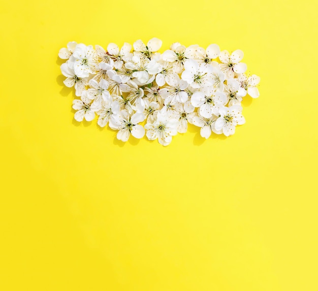 Flores brancas de cerejeira em fundo de papel amarelo brilhante