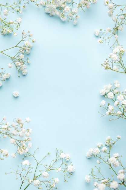 Flores brancas de gypsophila ou flores de hálito de bebê em fundo azul