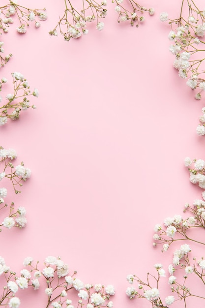 Flores brancas de gypsophila ou flores de hálito de bebê em fundo rosa