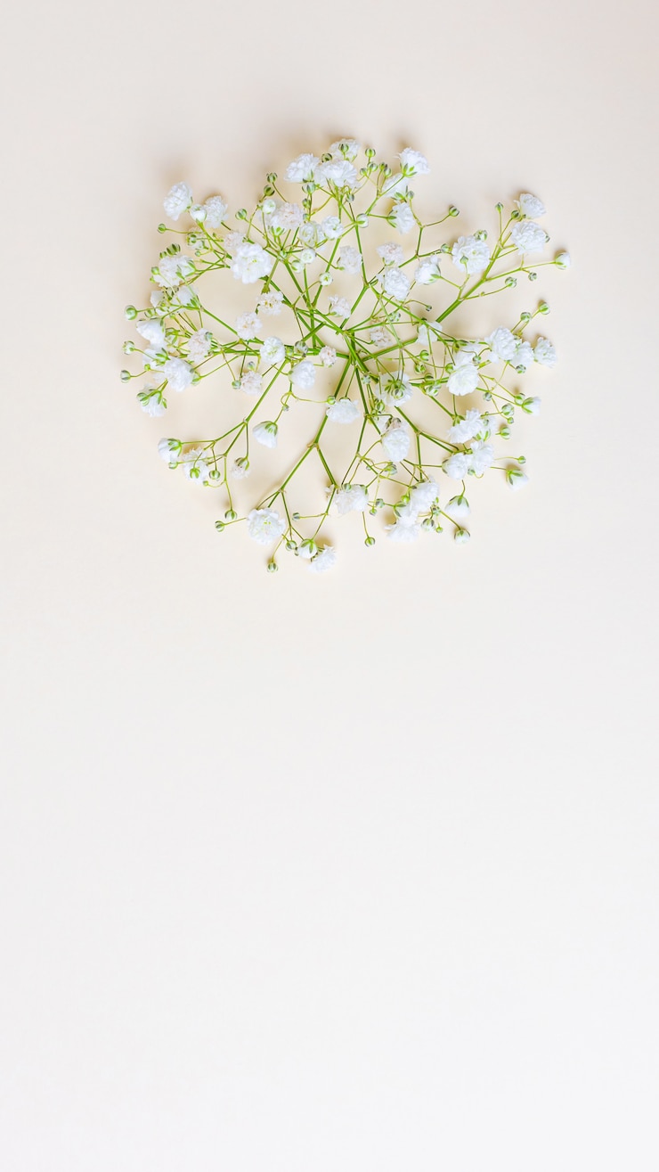 Foto flores brancas elegantes gypsophila