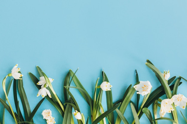 Flores brancas em azul plano leigo Fronteira floral de flores frescas de primavera com espaço de cópia Olá primavera Cartão elegante Feliz conceito de dia das mulheres Feliz dia das mães Floco de neve da primavera