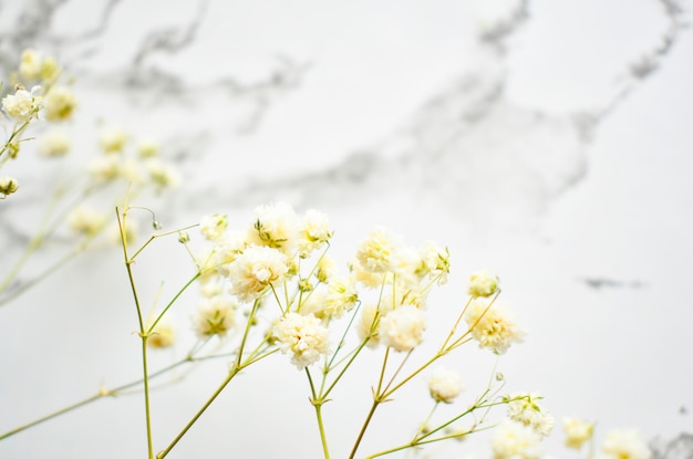 Flores brancas em uma mesa de mármore.