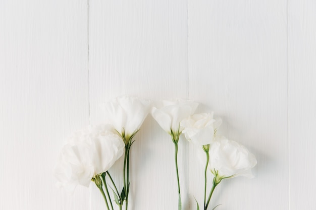 Flores brancas na madeira. Imagem plana, minimalista e elegante