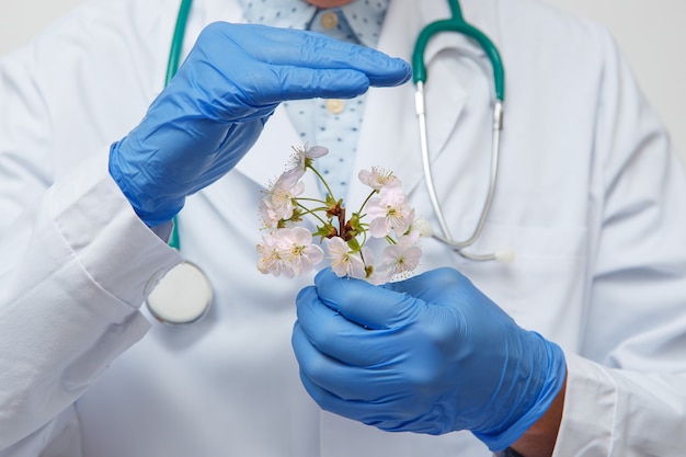 Flores brancas nas mãos de um médico