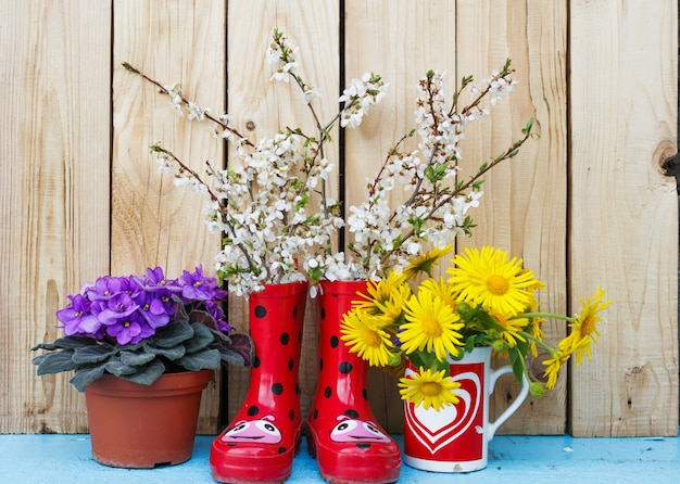 Flores brillantes en macetas, botas de goma roja sobre un fondo de madera. Bodegón de flores de primavera. día de San Valentín