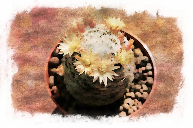 Flores de cactus en colección, Dibujo de acuarela