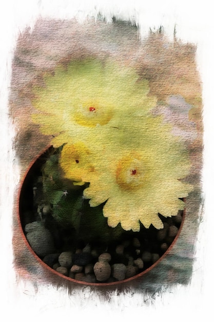 Flores de cactus en colección, Dibujo de acuarela