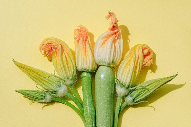 Flores de calabacín en diversos grados de revelación