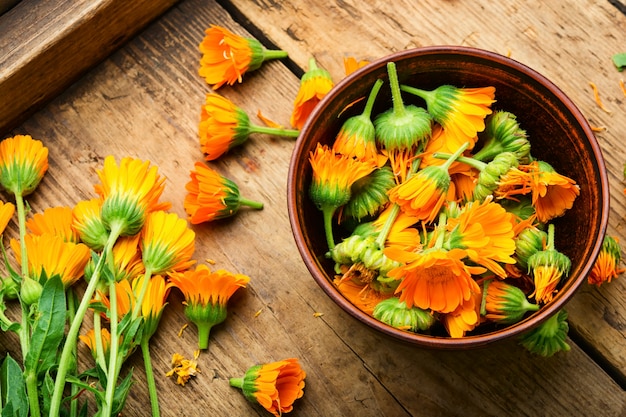 Flores de caléndula o caléndula