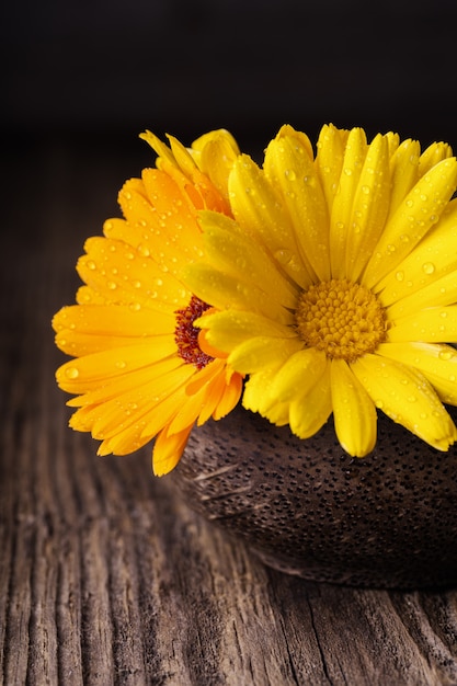 Flores de caléndula en un recipiente sobre fondo de madera