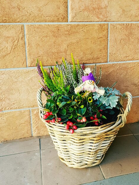 Foto flores en la canasta contra la pared