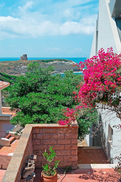 Flores y casas junto a la orilla.