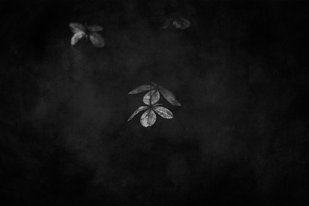 Foto flores castanhas delicadas e esquecidas num jardim de outono escuro