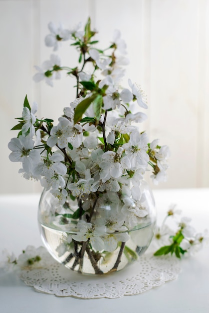 Flores de cerezo blanco en un jarrón sobre un fondo blanco.