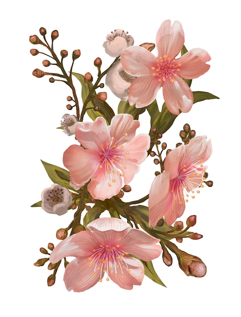 Las flores de cerezo png la ilustración de la pegatina de la flor de fondo transparente