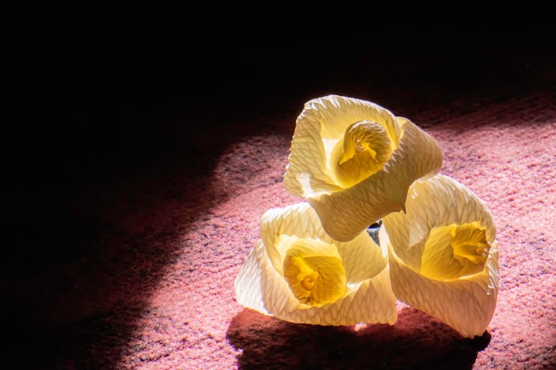 Las flores Chan son flores de papel utilizadas en las ceremonias funerarias tailandesas