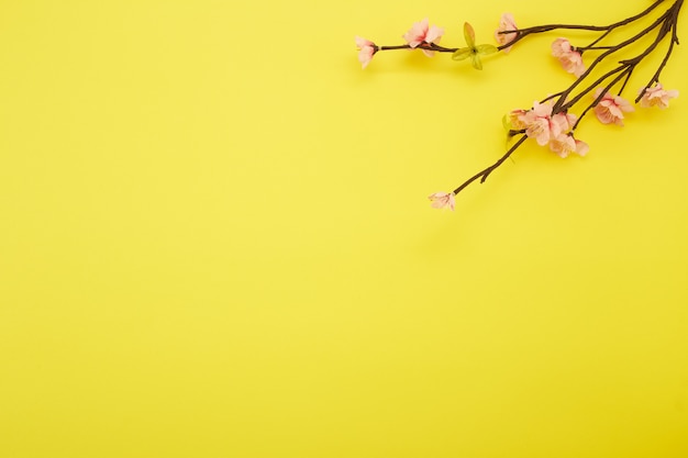 Flores de ciruela sobre fondo amarillo