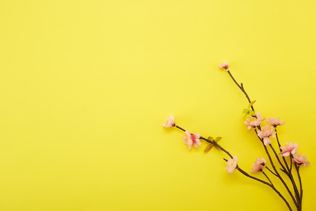 Flores de ciruela sobre fondo amarillo