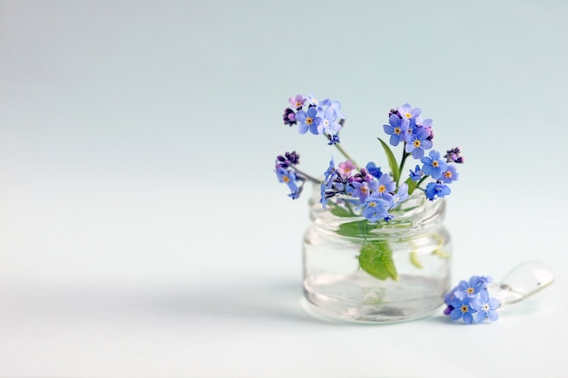 Las flores de color azul claro son pequeñas en un frasco de vidrio sobre un fondo claro. Enfoque selectivo