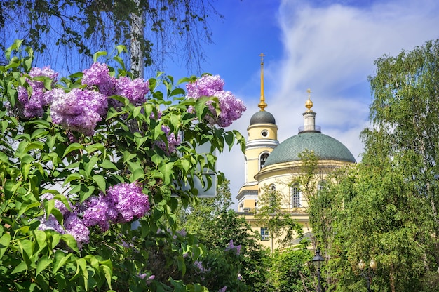 Flores de color lila y la cúpula de la Iglesia de la Gran Ascensión cerca de Nikitsky Boulevard en Moscú