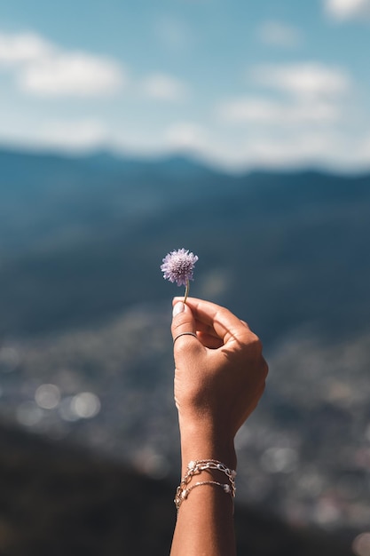 Flores de color púrpura en la mano sobre un fondo de montañas