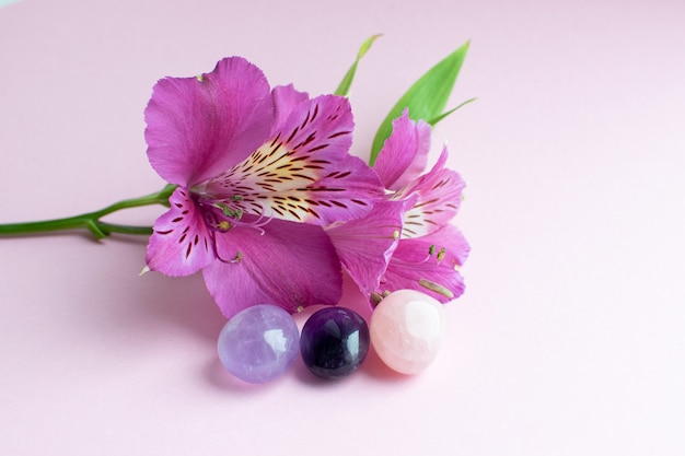 Flores de color rosa brillante de alstroemeria sobre una superficie rosa y los minerales de amatista y cuarzo rosa