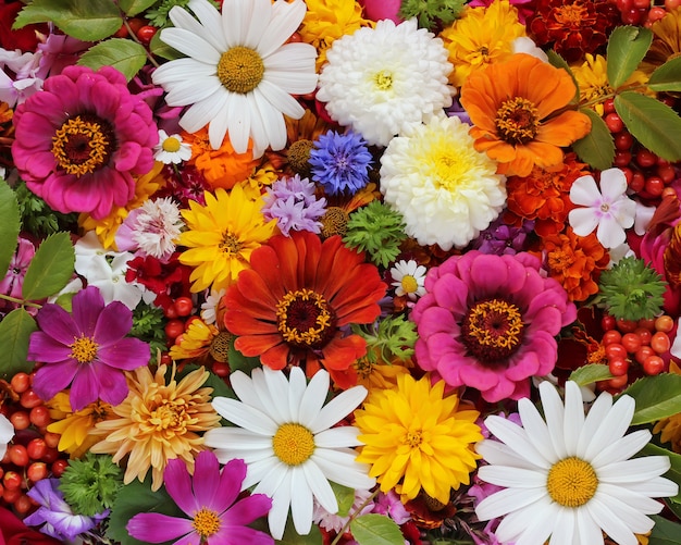 Foto flores de colores, vista desde arriba.