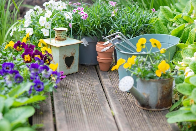 flores coloridas floreciendo y dispuestas en una terraza de madera con macetas decorativas y linterna