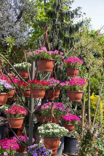 Foto flores coloridas frescas colocadas em vasos nas floristas