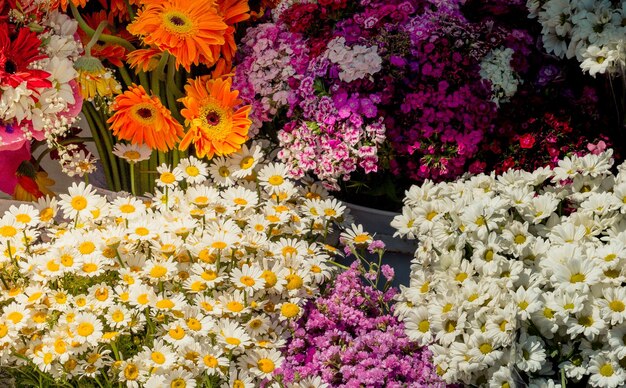 Flores coloridas frescas puestas en jarrones