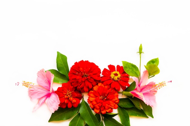 Foto flores coloridas zinnia elegans arranjo de hibisco estilo de cartão postal