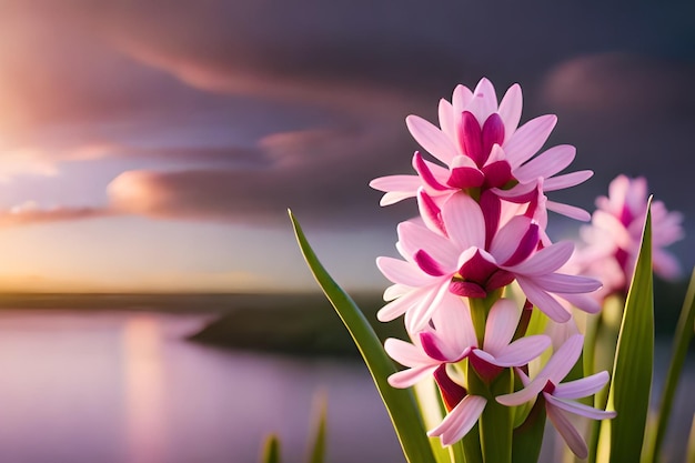 Flores cor de rosa com um céu nublado ao fundo