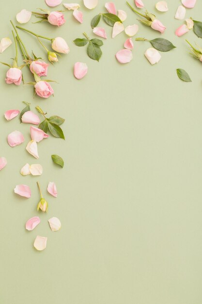 Flores cor de rosa e brancas em fundo de papel verde