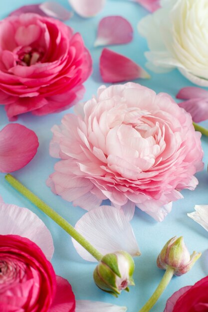 Foto flores cor de rosa em um espaço de cópia de fundo azul claro,