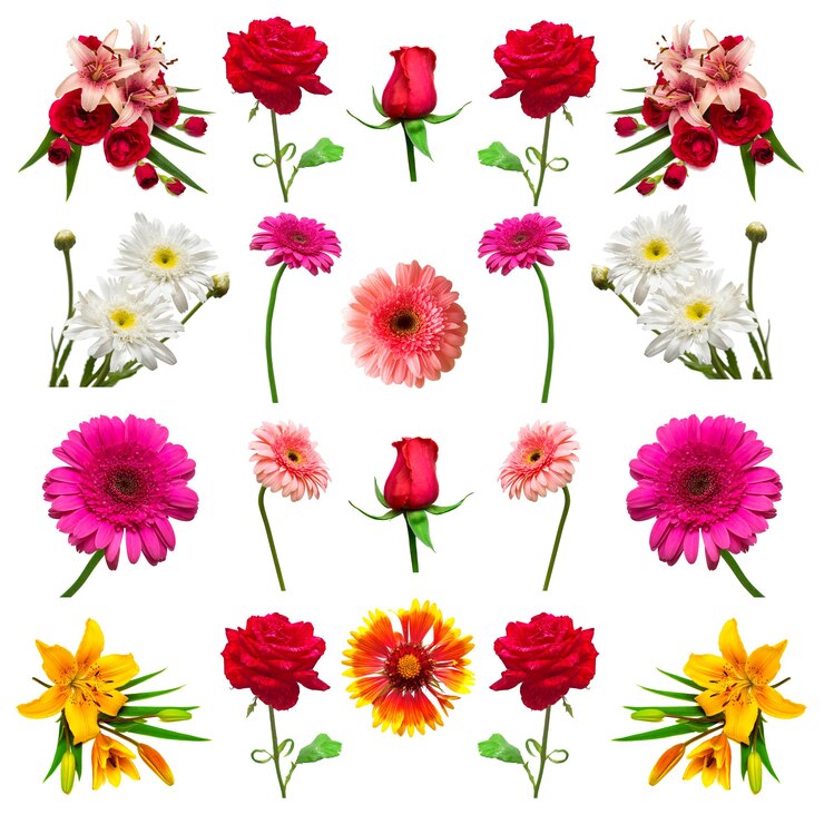 Foto flores da coleção isoladas no fundo branco. florística, buquês, presente de casamento. camada plana, vista superior. dia dos namorados, amor. flores, rosas, margaridas, gérberas, lírios