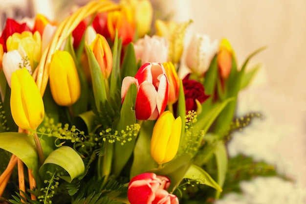 Flores da primavera banner um buquê de tulipas multicoloridas em um fundo bege