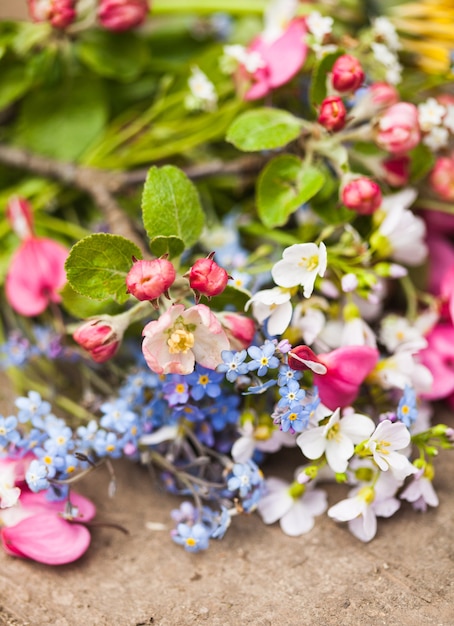 Flores da primavera de perto