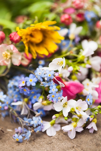 Flores da primavera de perto