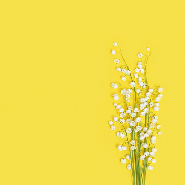 Foto flores da primavera desabrocham lírio branco do vale em amarelo pequeno buquê floral