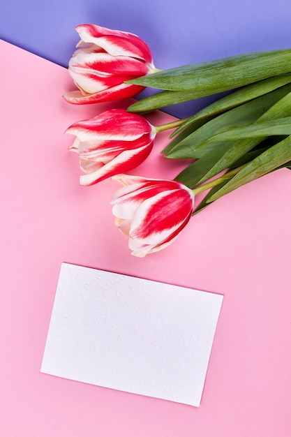 Flores da primavera e cartão Como se desculpar com a mulher