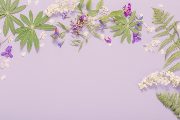 Flores da primavera em fundo de papel violeta