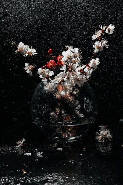 Flores da primavera em um vaso em gotas de chuva de fundo escuro