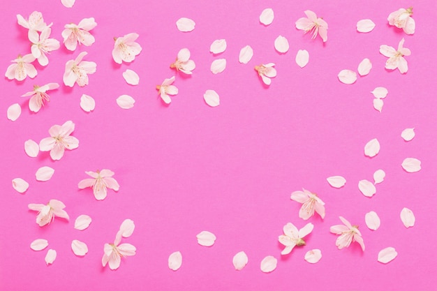 Flores da primavera em uma superfície de papel rosa