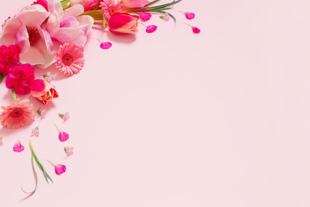 Flores da Primavera linda em fundo rosa